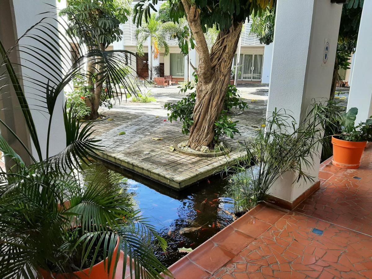 F3 _ Kaz Ananas Passion Au Manganao Apartman Saint-Francois  Kültér fotó